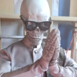 human66