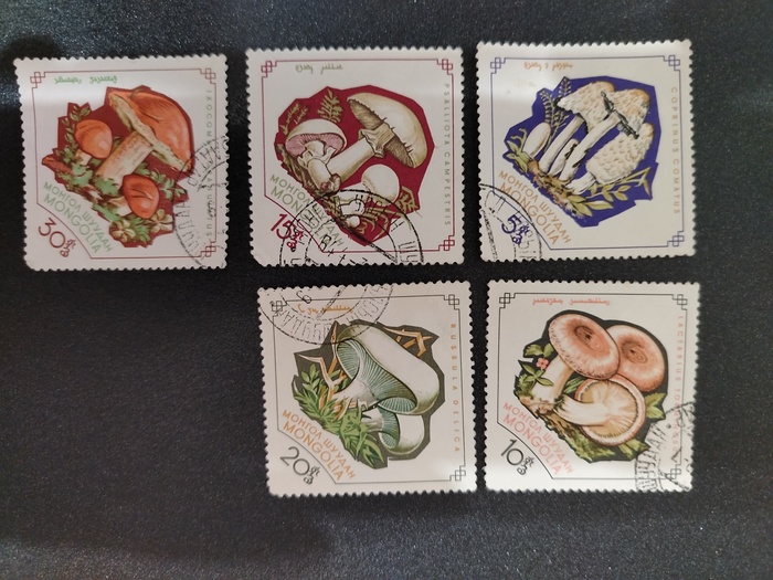 Марки - грибы 1964г (Монголия)