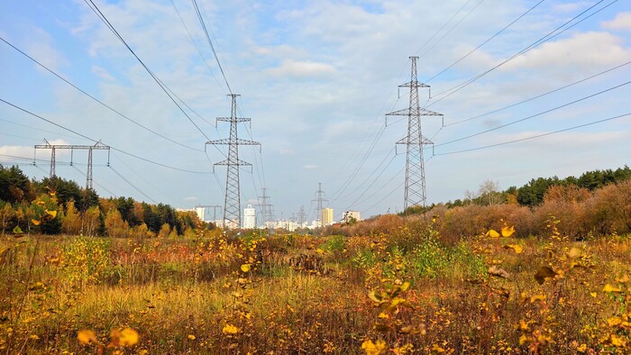 Питание города