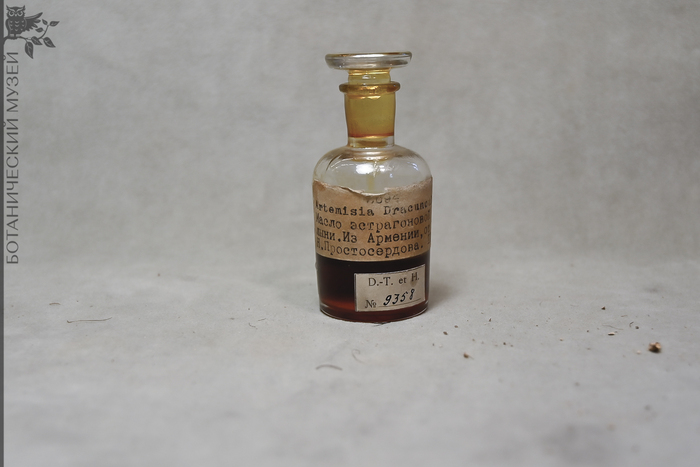 Масло эстрагоновой полыни. Из фондов Ботанического музея БИН РАН.