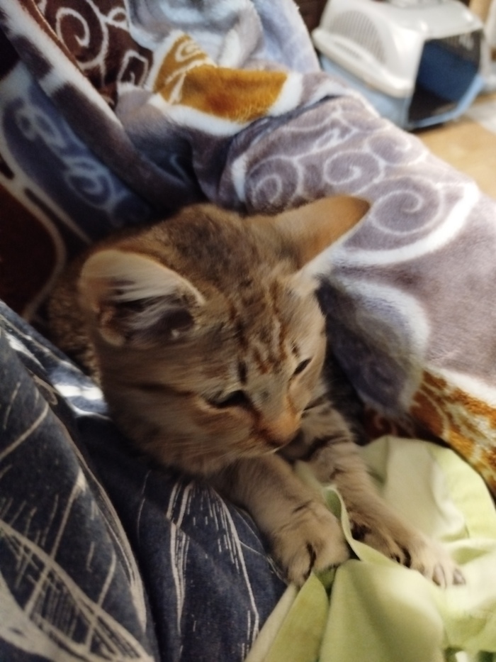     .      -   ,         &#x2764;&#xFE0F;