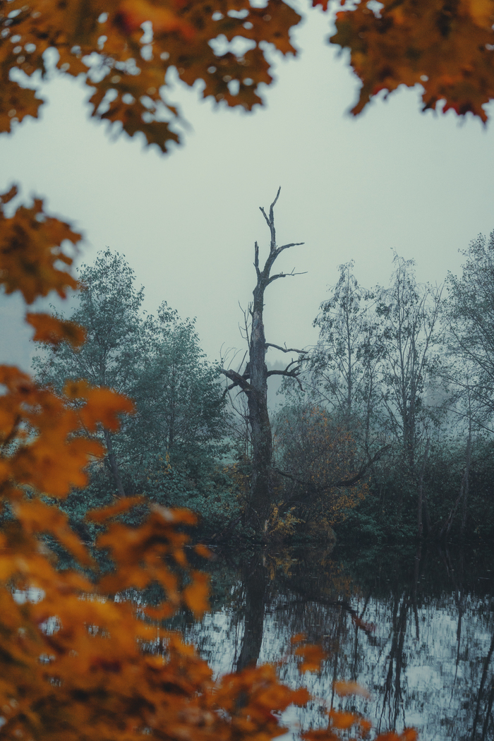 Жизнь и смерть - всего лишь два мгновения