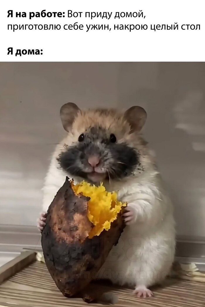 � ����� ����� �����