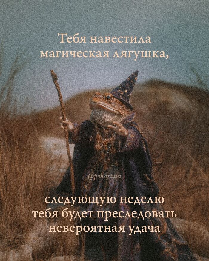 oiluxq2q.jpg