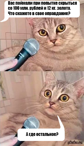 Ответ на пост «Глава Крымского района пытался сбежать со 100млн. рублей и 12кг. золота»