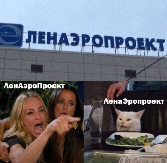 Кот дело говорит... )))
