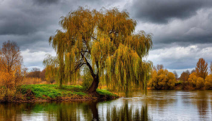 Лучше б не знала