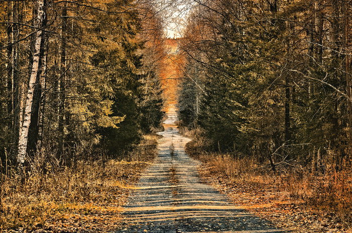 Осенняя фоточка