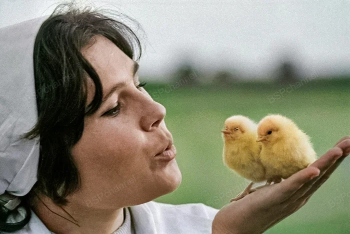 Фотограф: Азриель Роман, Самсонов Л.