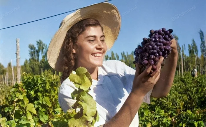 Фотограф: Николай Попов