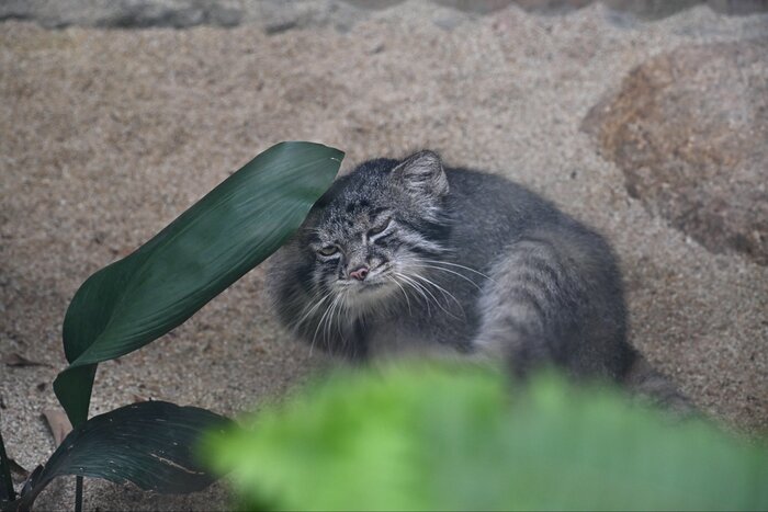 Первый рабочий день после отпуска...памагити...