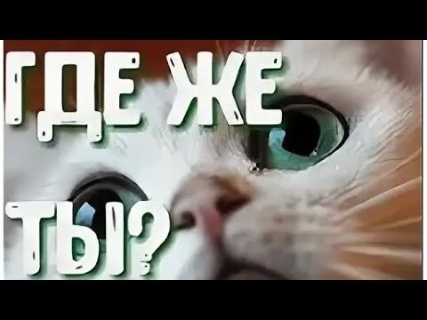 Продолжение поста «Занимаюсь тем, что нравится, а не тем чем приходится»