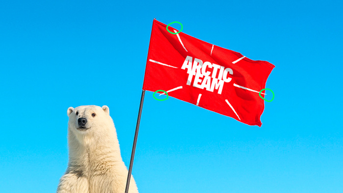 Раньше был упоротый лис, теперь медведь.