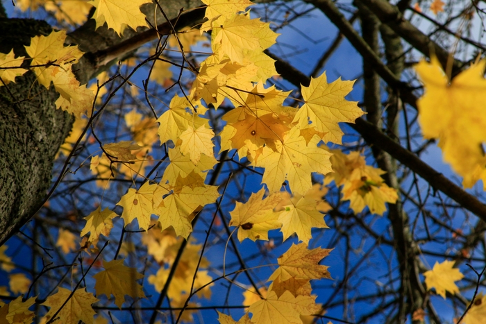 Фото Т. Тишиной.