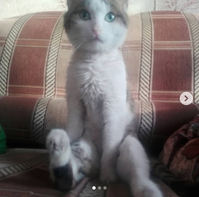 Натертая ножка