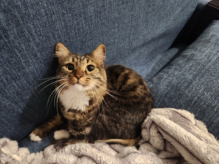 Ежедневный Рислинг #83