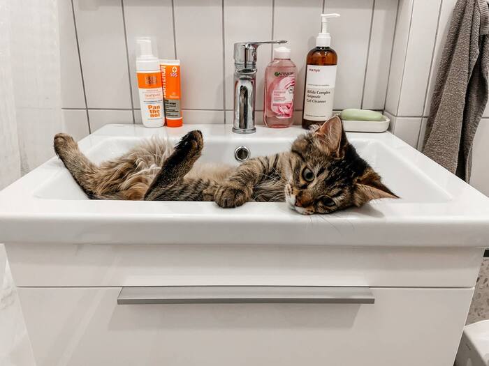 Несите шампанское!