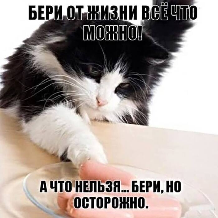 Бери от жизни всё, что можно