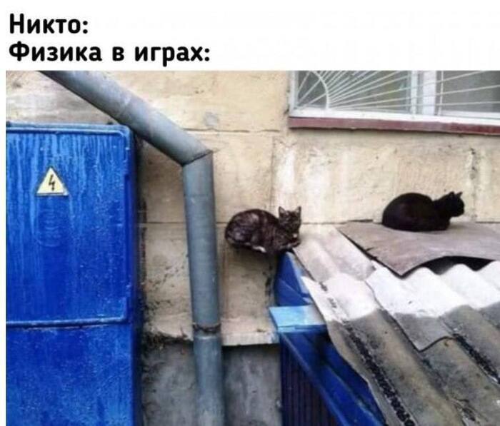 Наверное, у этого кота просто баг с коллизией