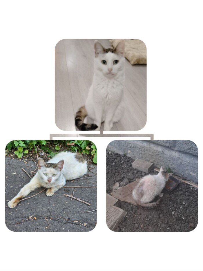 Сложно поверить, но это всё Дюймовочка