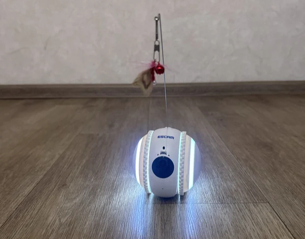 Фото робота-шара вживую