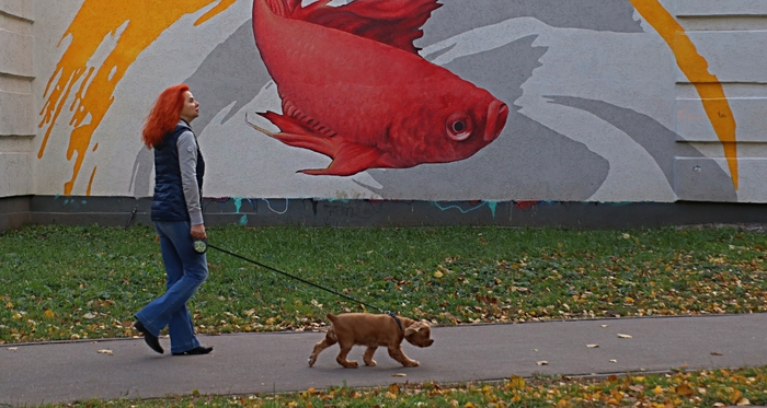 ���������