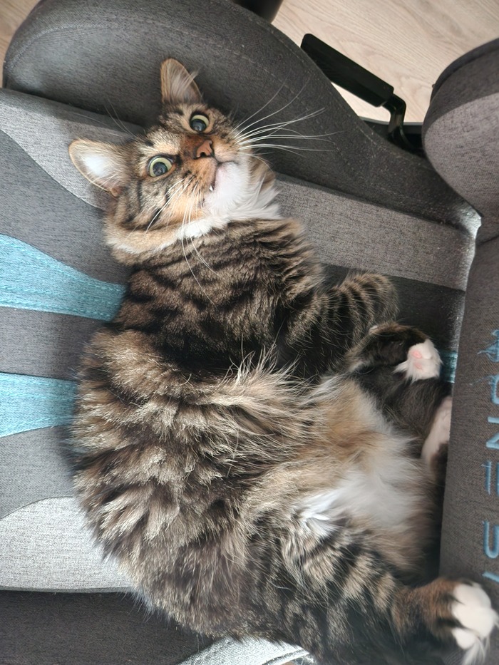 Ежедневный Рислинг #85