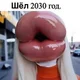 ������ ������������ viktorsvetlov80