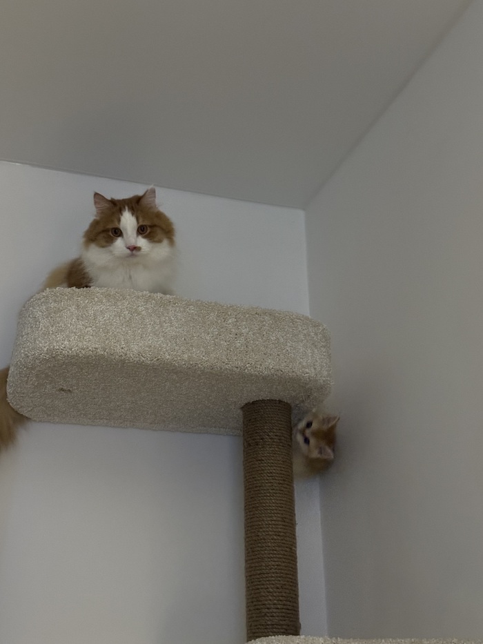 Гравитация ещё не до конца изучена