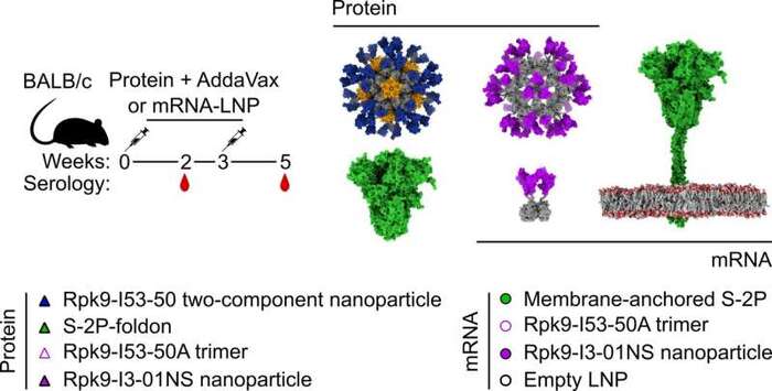   , ,    Rpk9-I3-01NS     -             -        COVID-19.