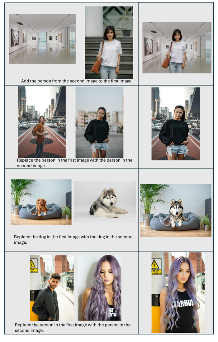 DreamOmni2             ,   .    ,     .