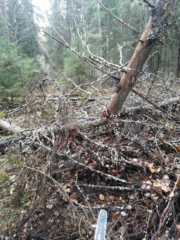Проехал километров 500, в т.ч. километров 30 по дорогам с первопрохождением (там, где полвека никто не ездил). Пока ничего не оторвал. На фотке, пример такой дороги.