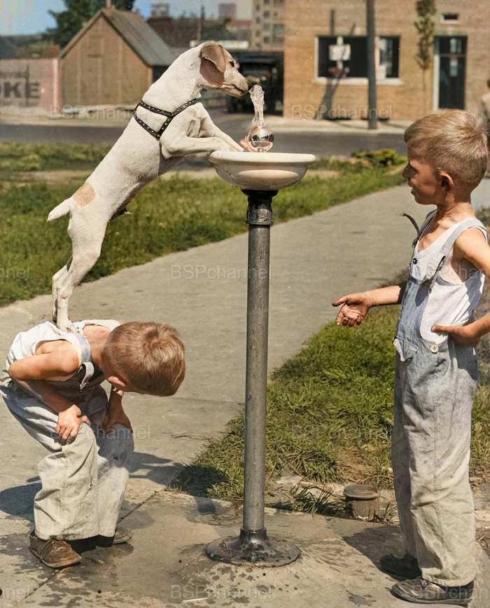 Фотограф: Харрис У. Новелл