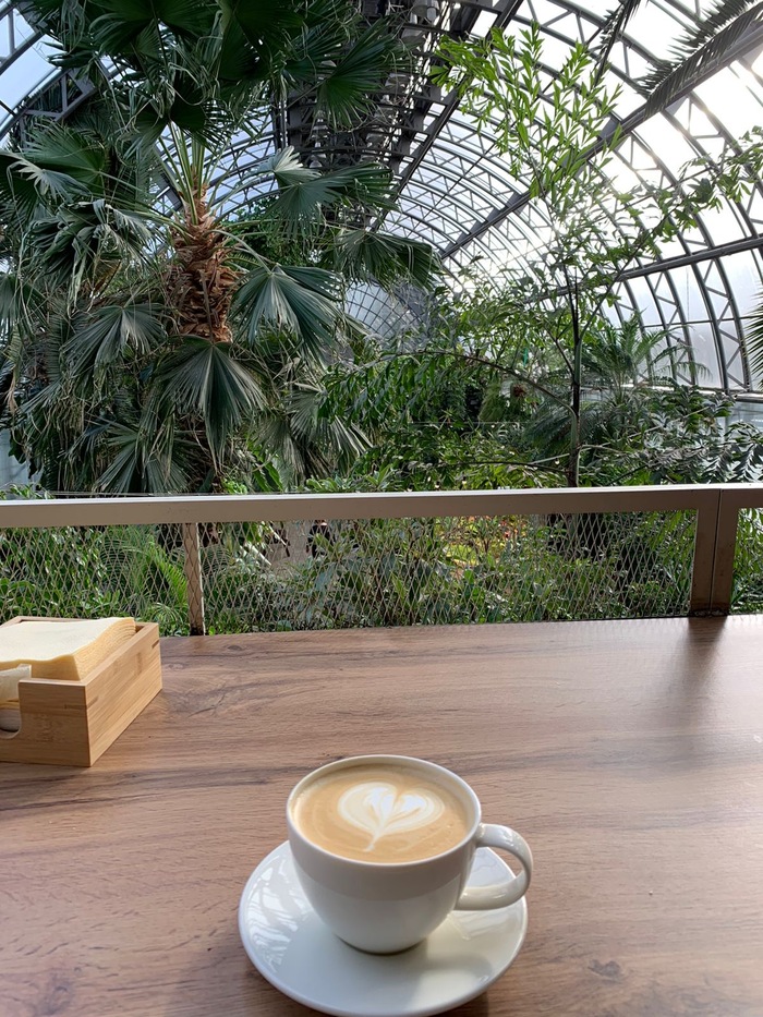 Оранжерея Таврического сада. Санкт-Петербург