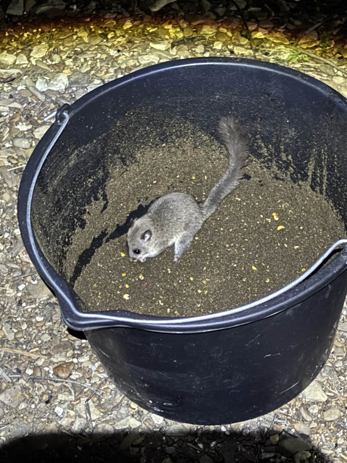 Ответ на пост «Осень!»