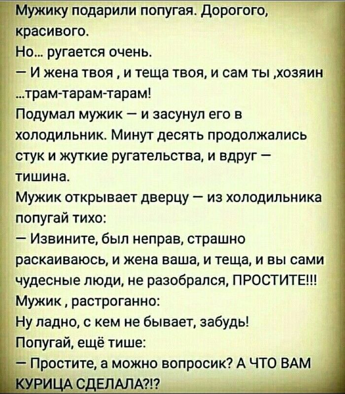 Бейнежазба гей-еркек попуга