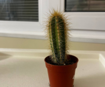 ��� � ����� ����� ���� � ���������
