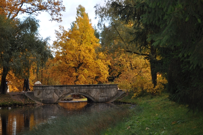 Осень