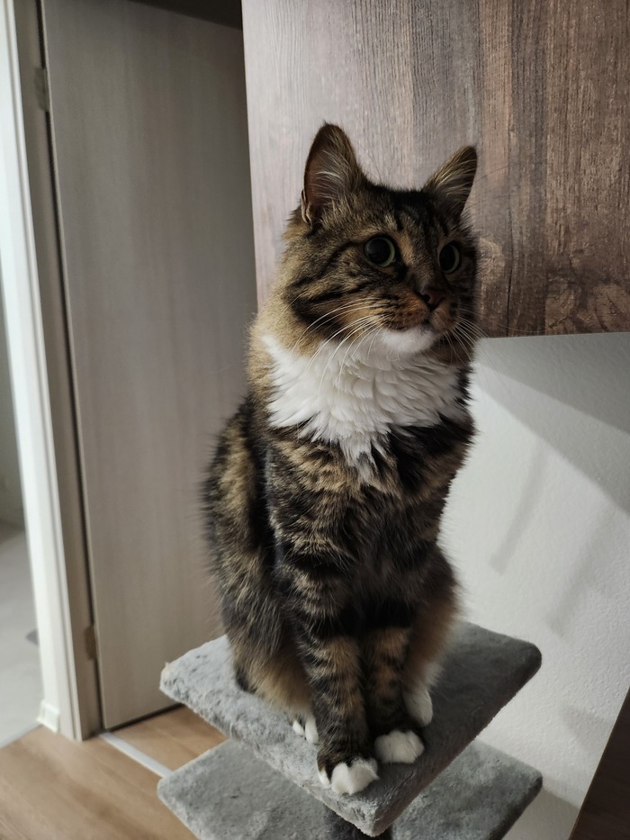 Ежедневный Рислинг #88