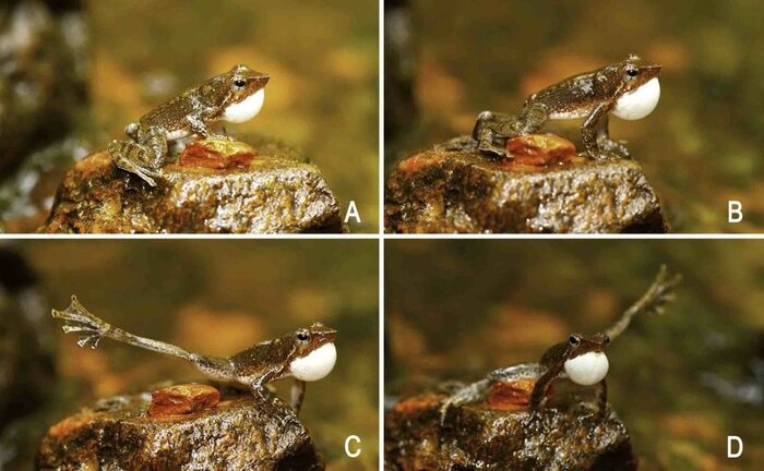 Две шаги налево, две шаги направо, шаг вперед и два назад (с)