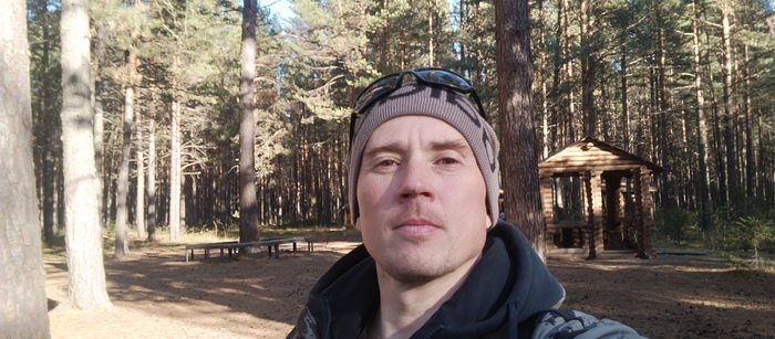 Красивый лес