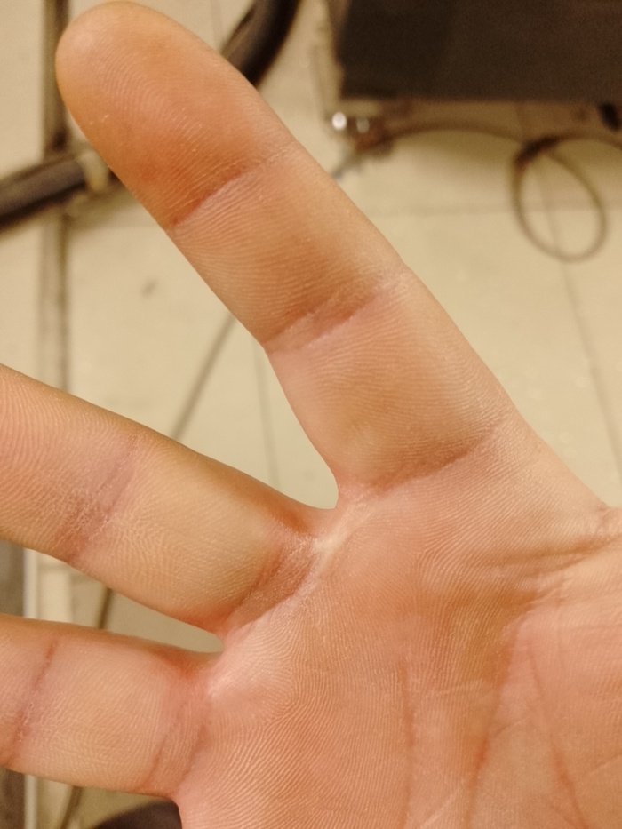 ���� ������