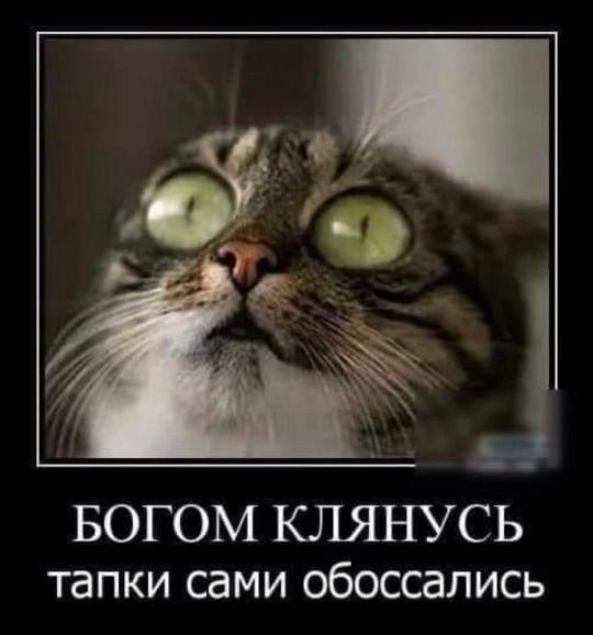 Сами