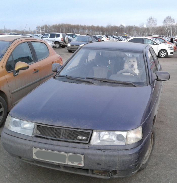 Таксует для души