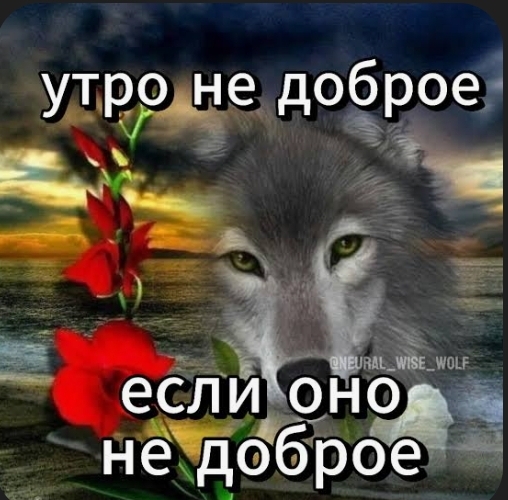 ������ ����