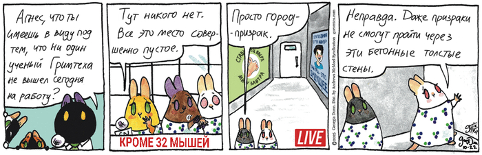 Котейкины Новости от 22.10.2025