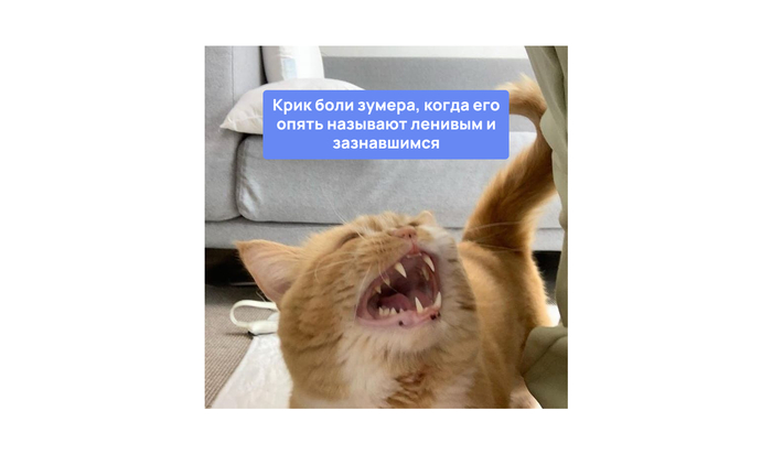Как работать с зумерами и не сойти с ума