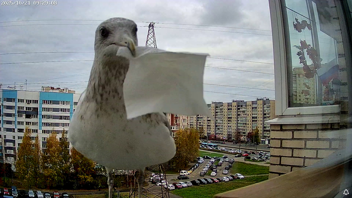      ... , , .   ,      .