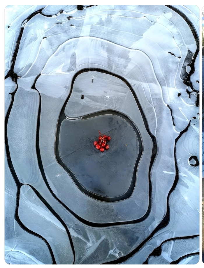 �����. ���������