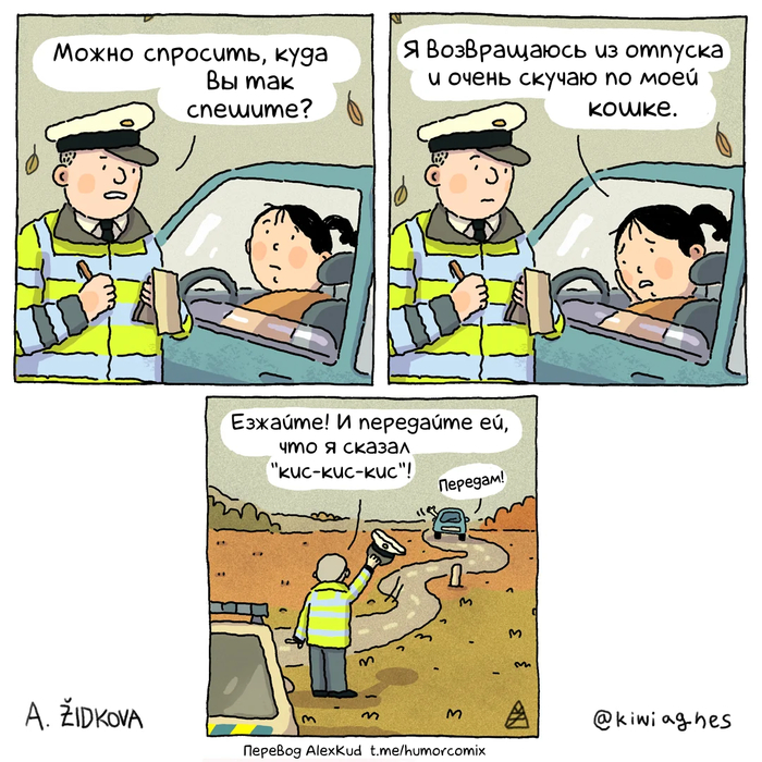 Куда вы так спешите?